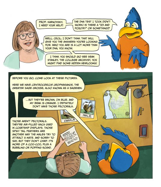 An original graphic story about the origins of Pomona College's mascot, Cecil the Sagehen. Link to full script available below.