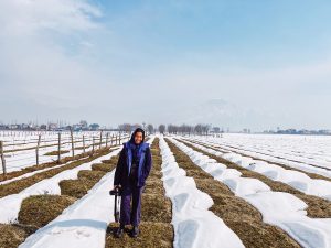 Sana Javeri Kadri ‘16, an art major at Pomona, keeps her camera close at hand in her travels. She is photographed here standing in a field on a Kashmiri saffron farm.