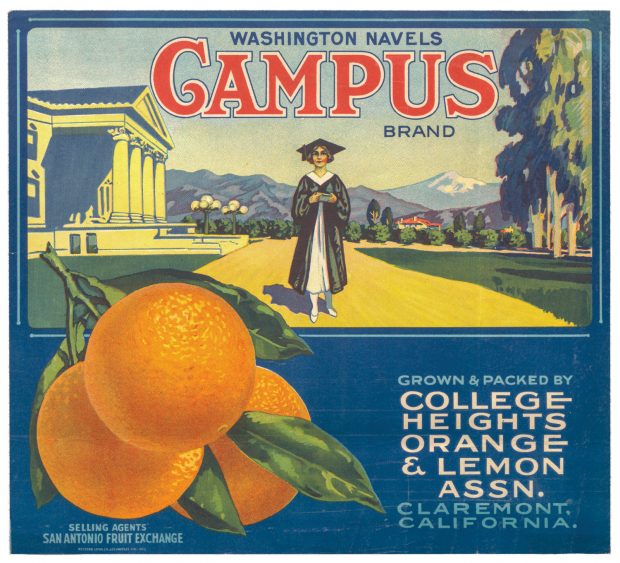 Carnegie Hall citrus label from the Oglesby collection