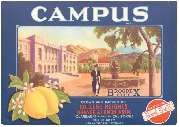 Campus citrus label from the Oglesby collection