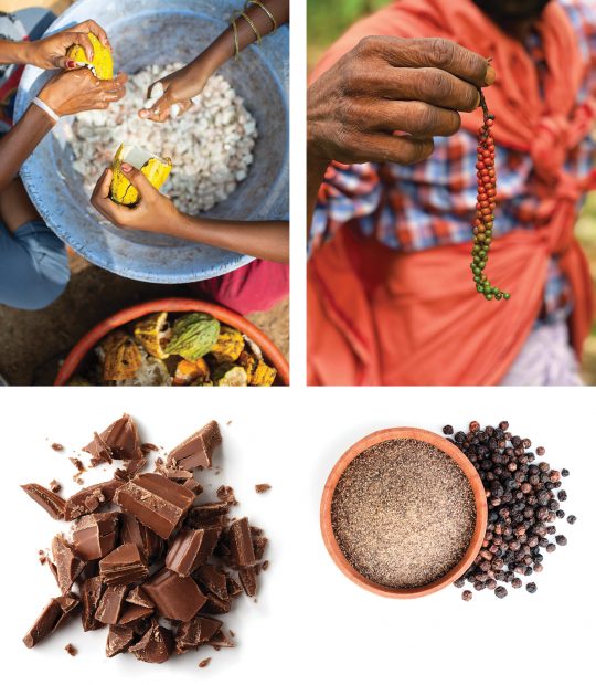 Top left, cocoa being processed into chocolate (bottom, left). Top right, a man holding a peppercorn, which is tried and milled into black pepper (bottom right).