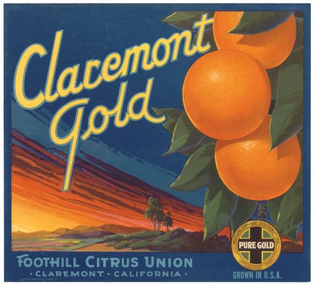 Claremont Gold citrus label from the Oglesby collection