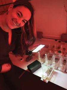 Sofia Dartnell ’22 raises bumblebees to use in her research. Wild queens are caught and provided pollen, nectar and a warm environment to encourage them to lay eggs. They are kept in the dark to mimic their natural nesting conditions underground, and checked in red light the bees can’t see.