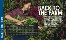 Back to the Farm: Severine von Tscharner Fleming ’04 has become the face of a movement of young people willing to get their hands dirty in order to make farming more local and sustainable.