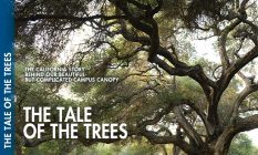 The Tale of the Trees: The California story behind our beautiful-but-complicated campus canopy