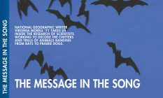 The Message in the Song: National Geographic writer Virgina Morell '71 takes us inside the research of scientists working to decode the chitters and trills of animals ranging from bats to prairie dogs.