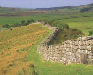 A green pasture with a stone wall