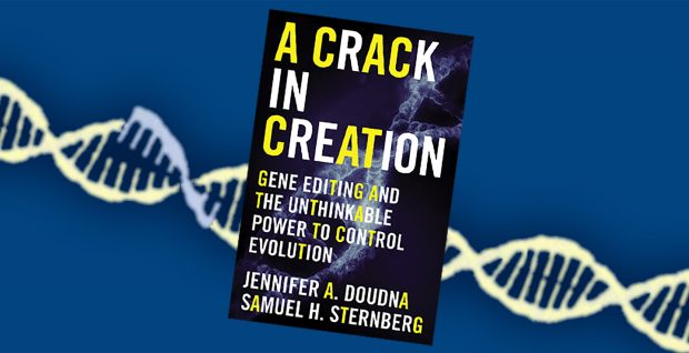 A Crack in Creation