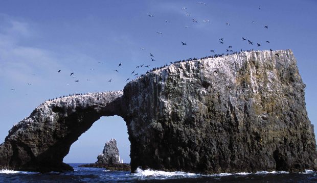 Anacapa Island