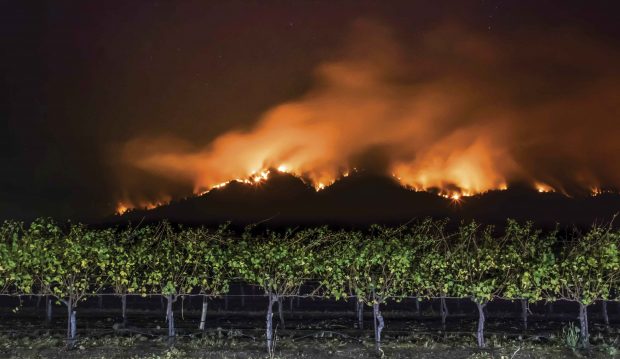 A wildfire burns along a ridge line above a Santa Rosa vineyard 