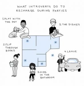 What introverts do to recharge during parties. 1. Play with the pet 2. Flip through books 3. Hide in the bathroom 4. Leave 5. The dishes