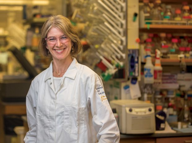 Jennifer Doudna at work in her lab at UC Berkeley