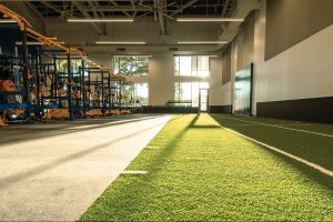 CARW Athletic Performance Center turf strip