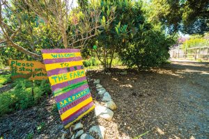 Throughout her time on campus, Javeri Kadri was heavily involved in the Pomona College Organic Farm.