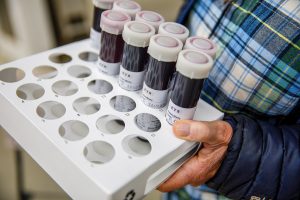 Winemakers make use of scientific analysis, sending samples to labs to test for qualities such as total acidity, pH, alcohol and sugar levels and to check for microbiological stability once in barrels. Photography by Robert Durell