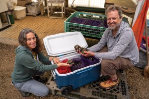 Selkoe and Bush didn’t know each other at Pomona but met at the Saturday Fishermen’s Market in Santa Barbara. Photography by Jeff Hing