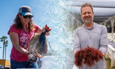 Kim Selkoe’97, left, loads halibut purchased directly from a fisherman. At right, Doug Bush ‘94 holds red seaweed grown to feed abalone farmed in onshore tanks.