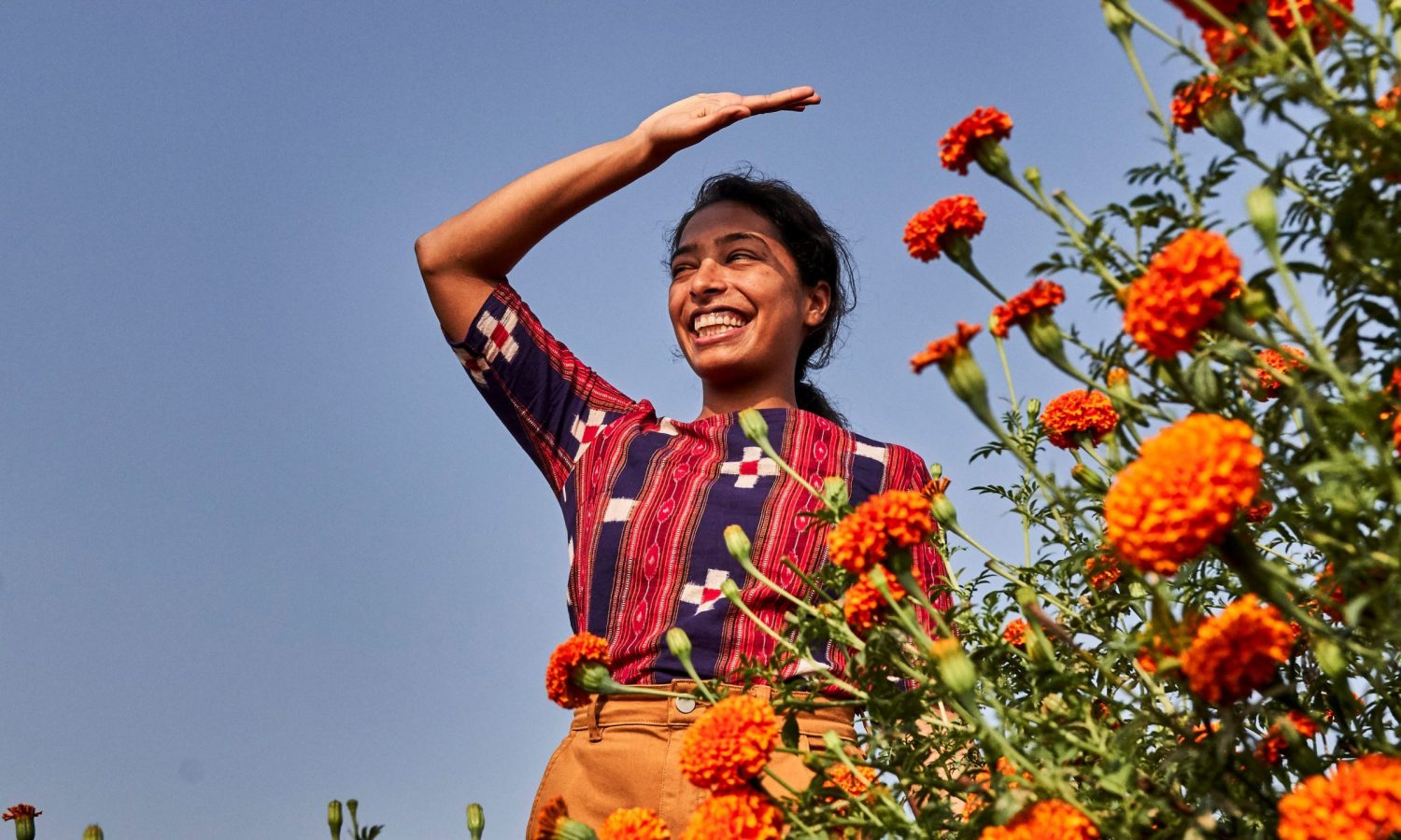 The Modern Spice Trader