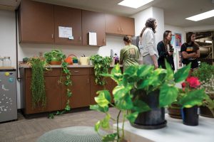 Multiple plants on a table