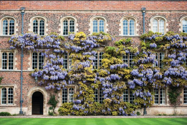 Fellows’ rooms as seen from First Court, Jesus College. Courtesy of Jean-Luc Benazet.