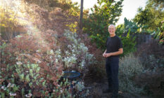 Miller in his backyard in Claremont, where he’s reintroduced Indigenous flora such as coastal sage biota, deergrass and an Engelmann oak.