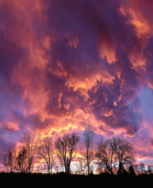 Sunset from Driveway by Grant Collier