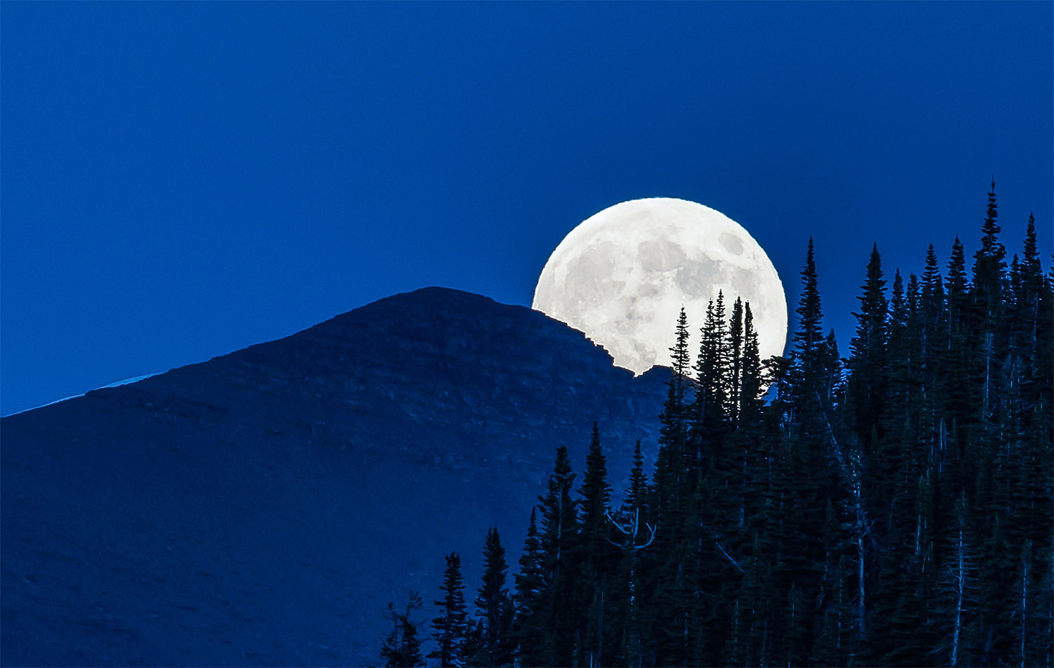 Full moon over Glacier at Logan Pass