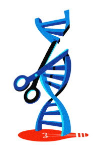 illustration of a strand of DNA being snipped