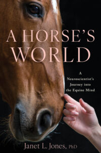 Cover of a book called A Horse's World