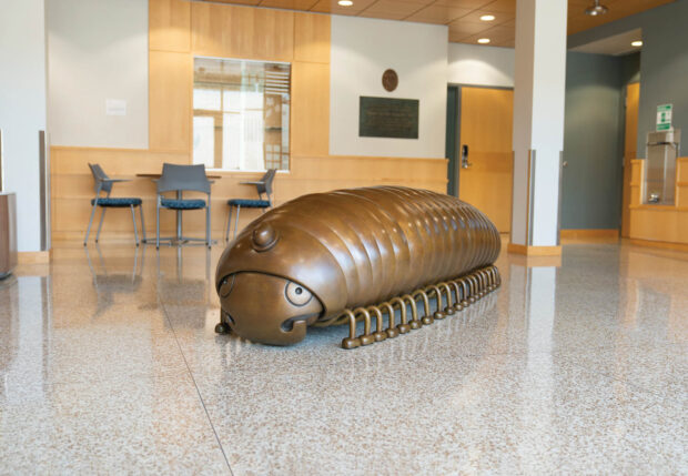 Bronze sculpture of a millipede