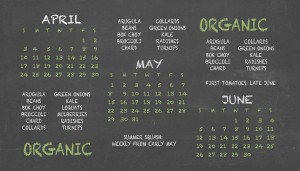 A three-month agricultural calendar