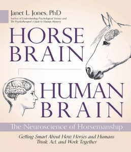 Horse Brain, Human Brain The Neuroscience of Horsemanship